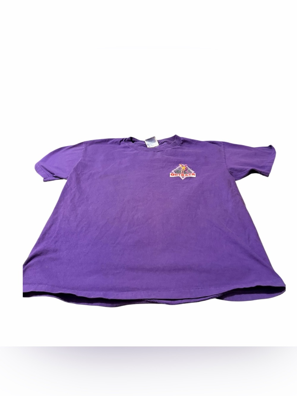 Hanes Purple Short Sleeve Tee with Small Chest Patch